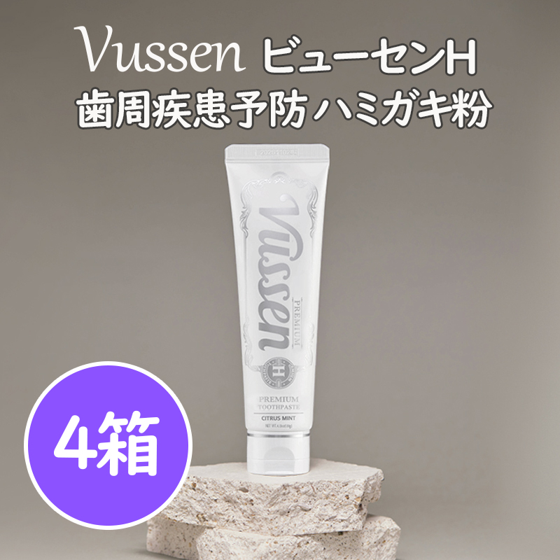 【120g×4個 】最安値 / 歯周病予防歯磨き粉 H シトラスミントの香り/公式純正品/ OSSTEM